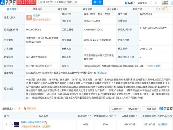 从硅片到智能 集成电路制造与人工智能算法软件的协同进化